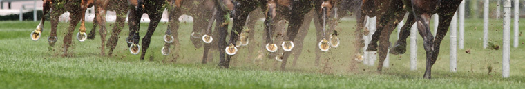 horse racing philippines