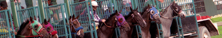 horse racing online