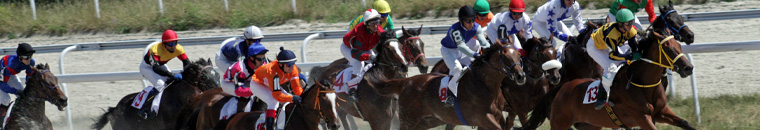 horse racing betting