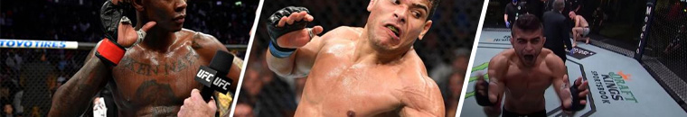 ufc betting sport